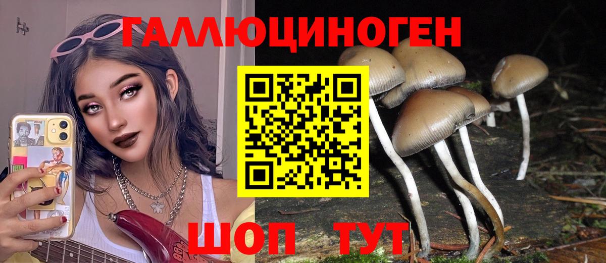 Дальнереченск  Галлюциногенные грибы ЛСД  Вход с VPN 